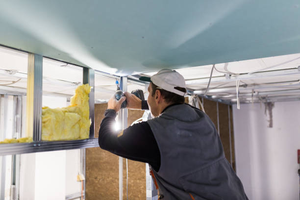 Best Types of Insulation in Woodville, AL
