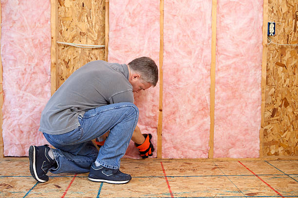 Best Insulation Maintenance and Repair in Woodville, AL